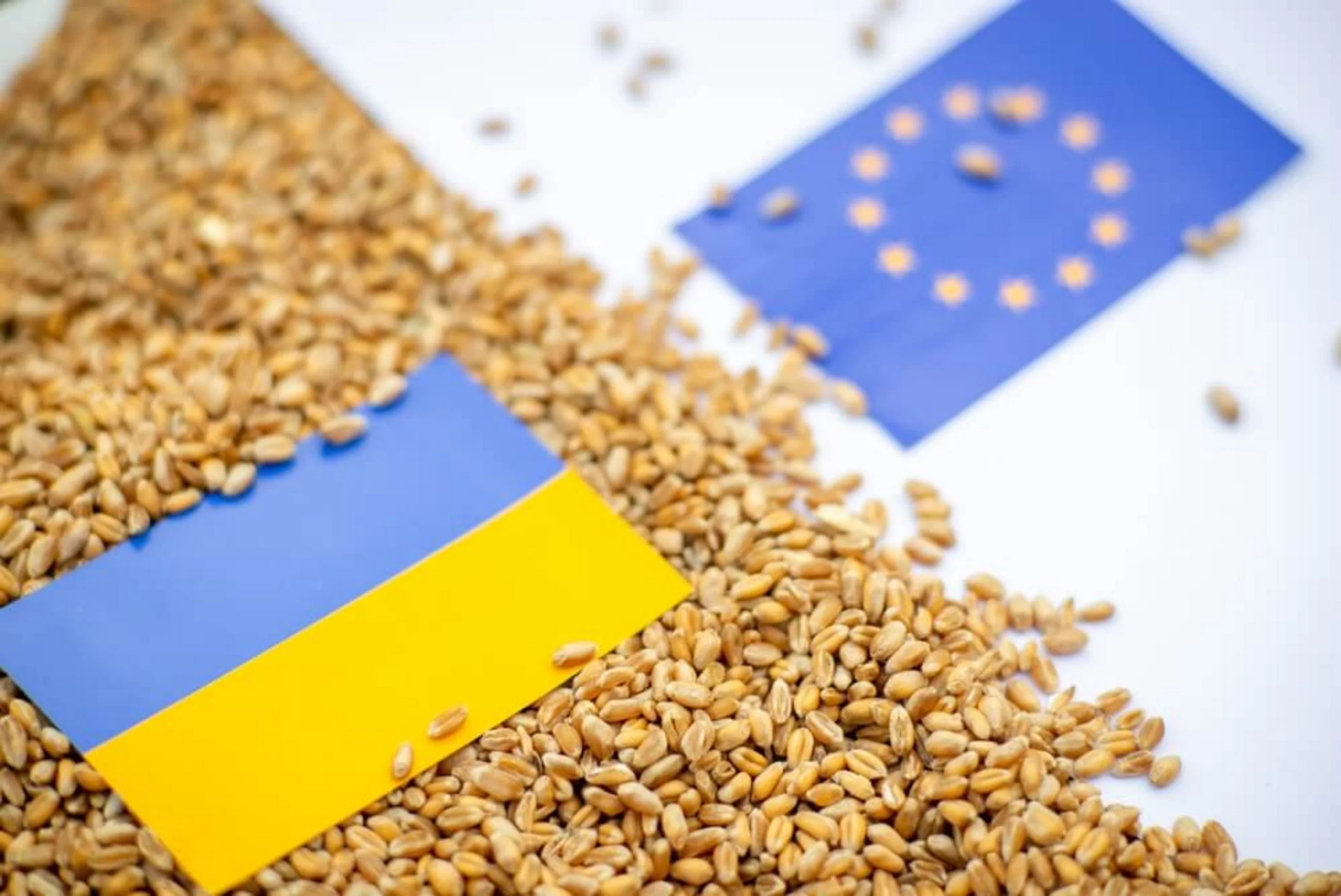 Importations Ukraine