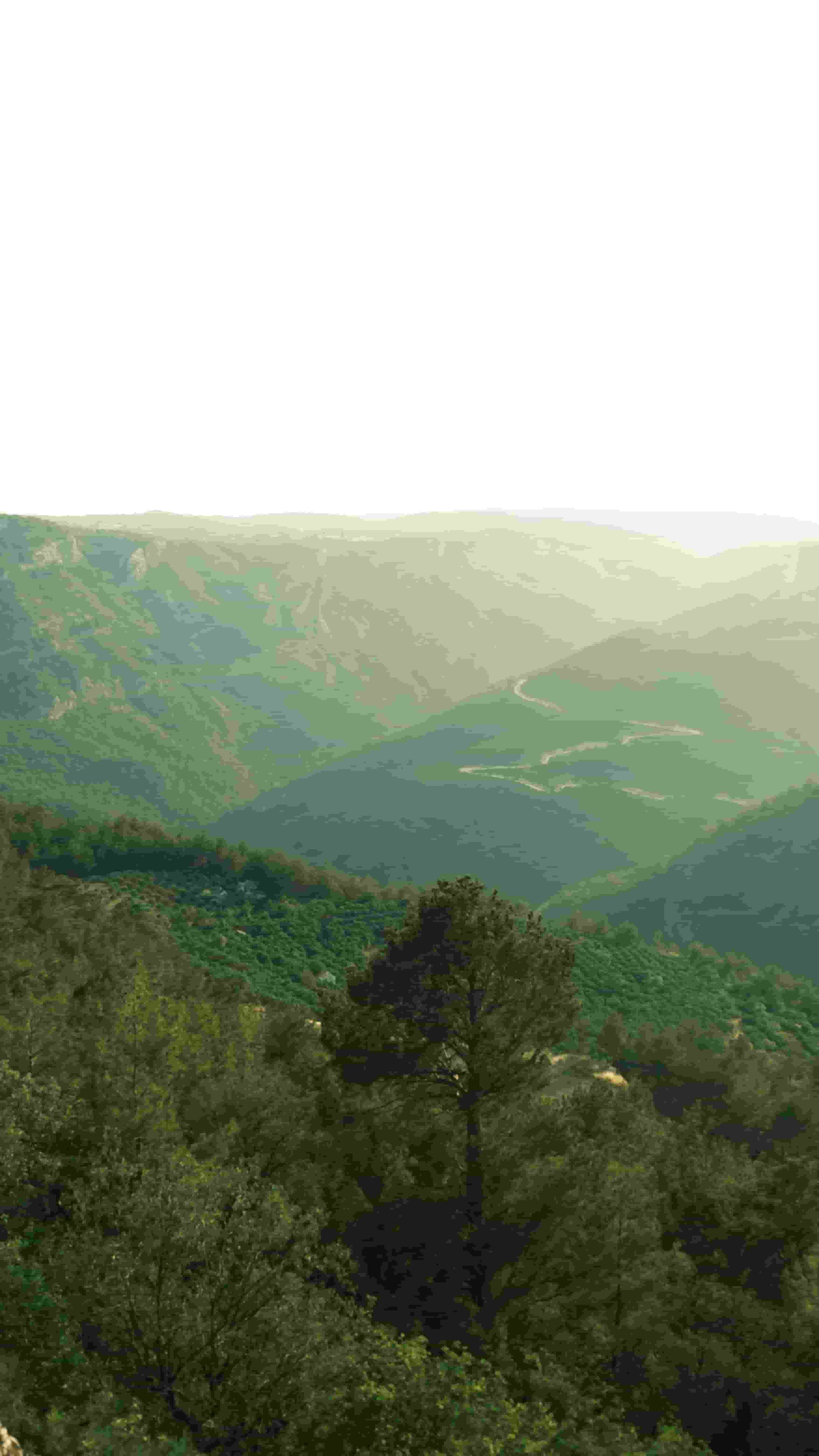 Environnement