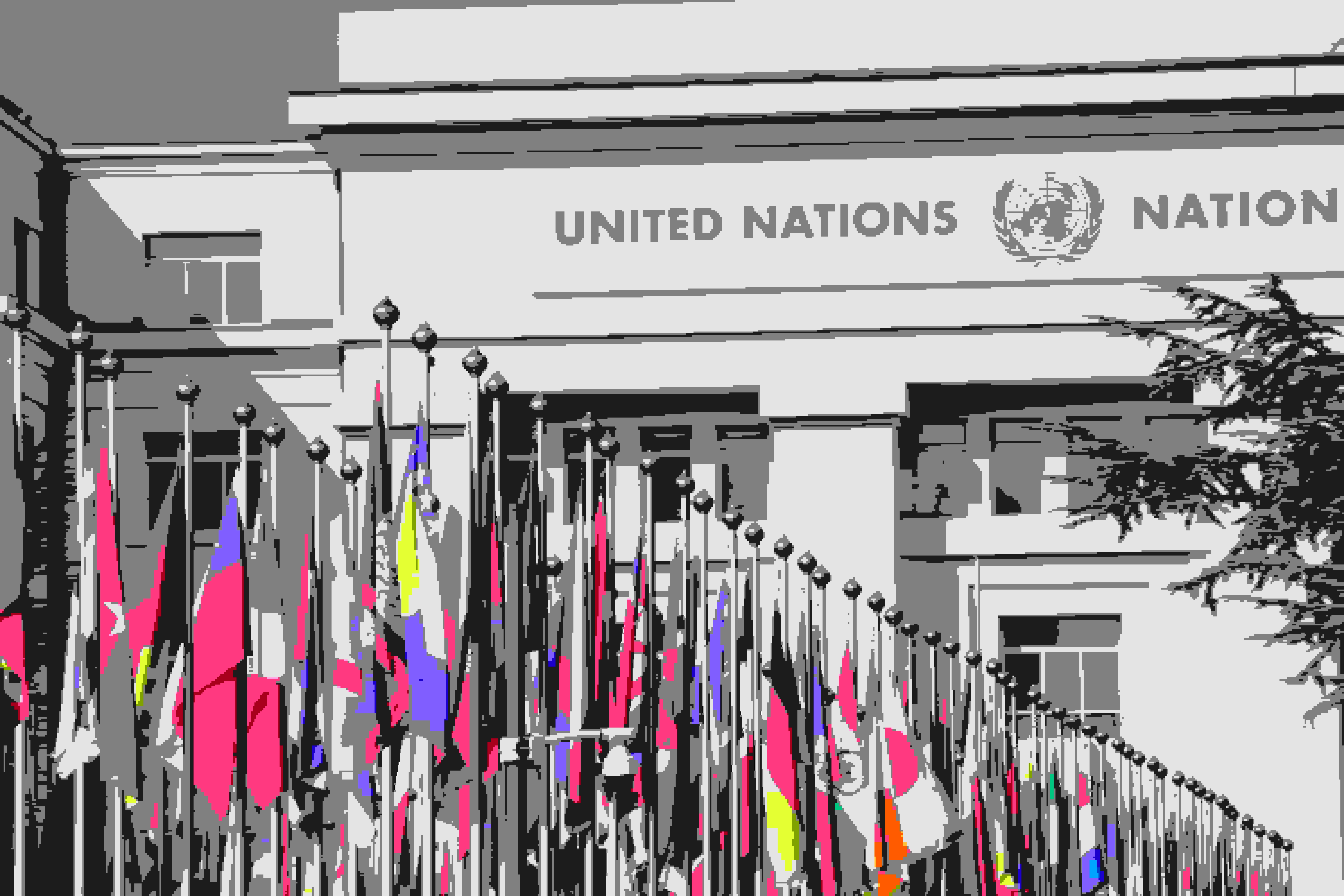 organisation des Nations Unies