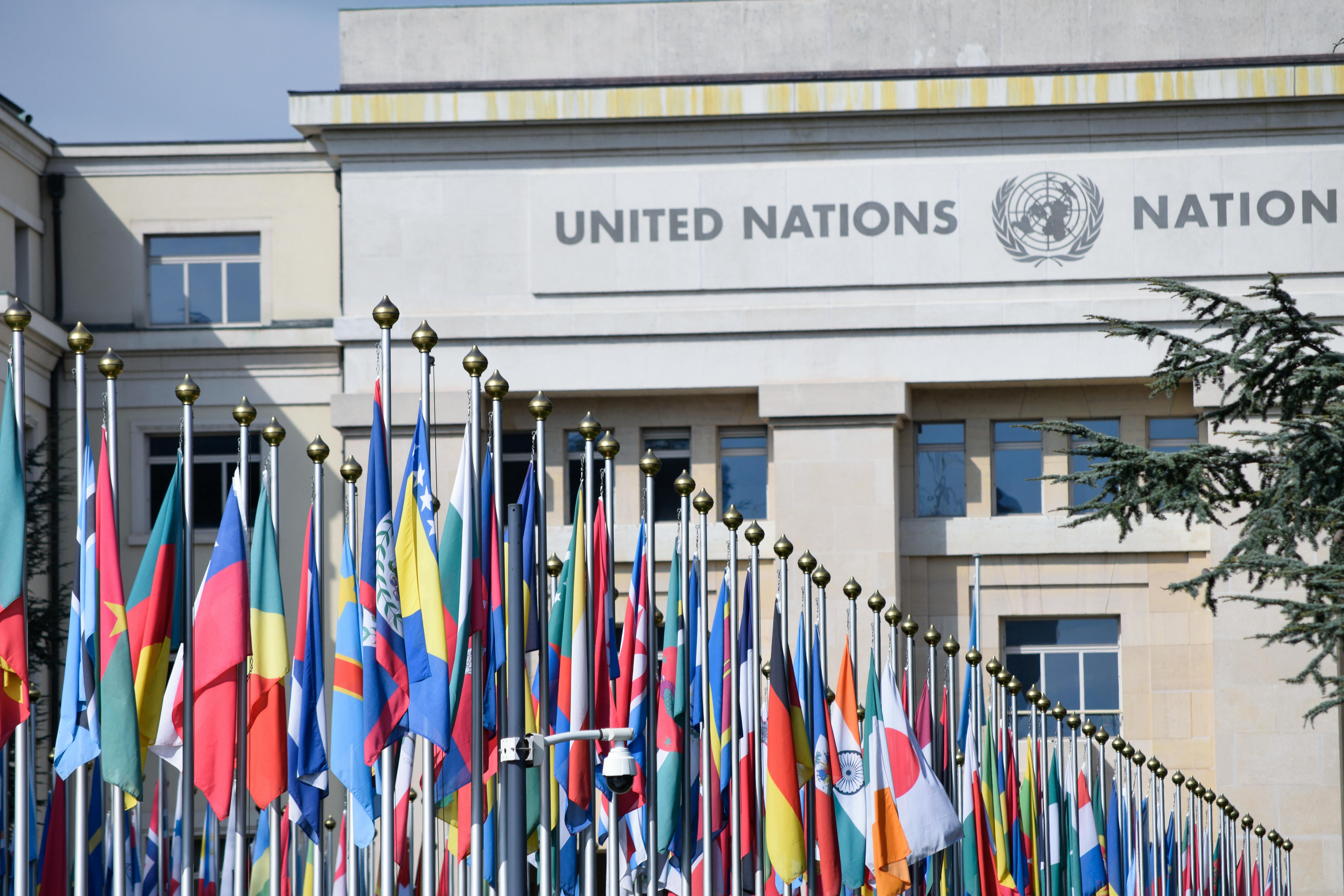 organisation des Nations Unies